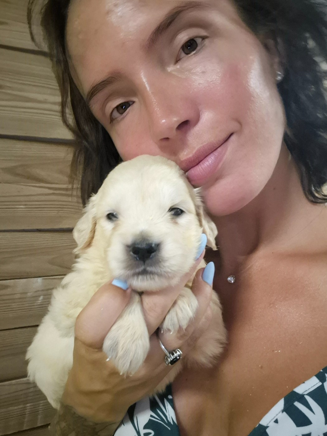 du Domaine de Demeter - Chiots disponibles - Golden Retriever