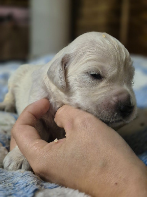 Parents entierement Testé