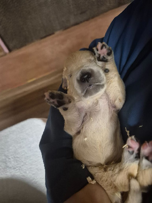 Parents entierement Testé